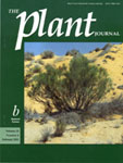 2001 The Plant Journal Cover